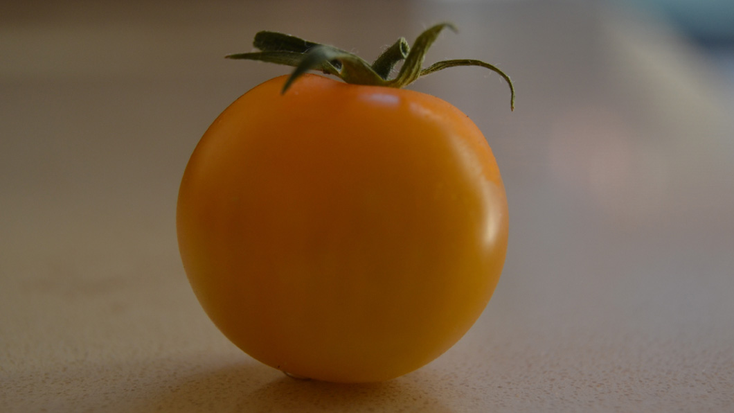 Pomidoro giallo